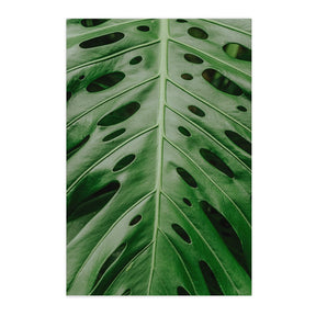 Quadro Decorativo Folhas 6 | Albori Ribeiro - Meu Rodapé