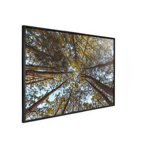 Quadro Decorativo Funil Verde | Glaucon Hartmam - Meu Rodapé