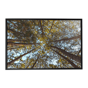 Quadro Decorativo Funil Verde | Glaucon Hartmam - Meu Rodapé