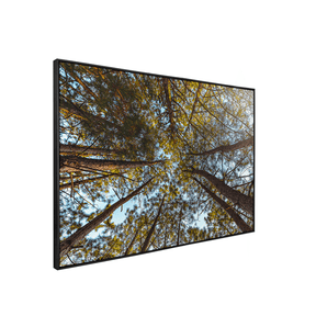 Quadro Decorativo Funil Verde | Glaucon Hartmam - Meu Rodapé