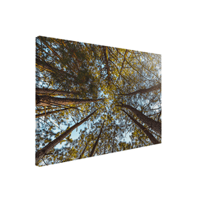 Quadro Decorativo Funil Verde | Glaucon Hartmam - Meu Rodapé