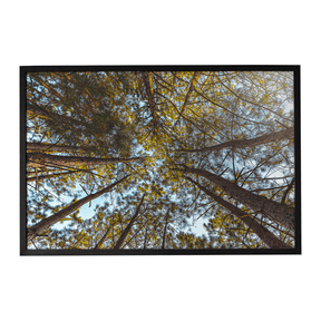 Quadro Decorativo Funil Verde | Glaucon Hartmam - Meu Rodapé