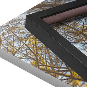 Quadro Decorativo Funil Verde | Glaucon Hartmam - Meu Rodapé