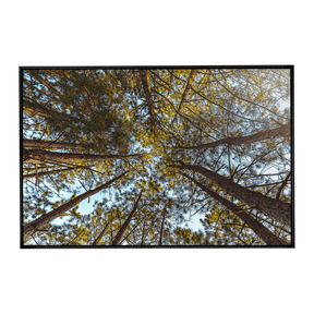 Quadro Decorativo Funil Verde | Glaucon Hartmam - Meu Rodapé