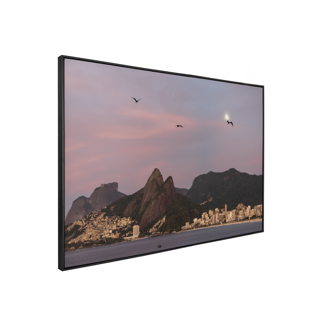 Quadro Decorativo Gaivotas | Roberto Cosseff - Meu Rodapé