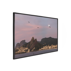 Quadro Decorativo Gaivotas | Roberto Cosseff - Meu Rodapé