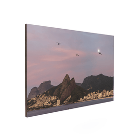 Quadro Decorativo Gaivotas | Roberto Cosseff - Meu Rodapé
