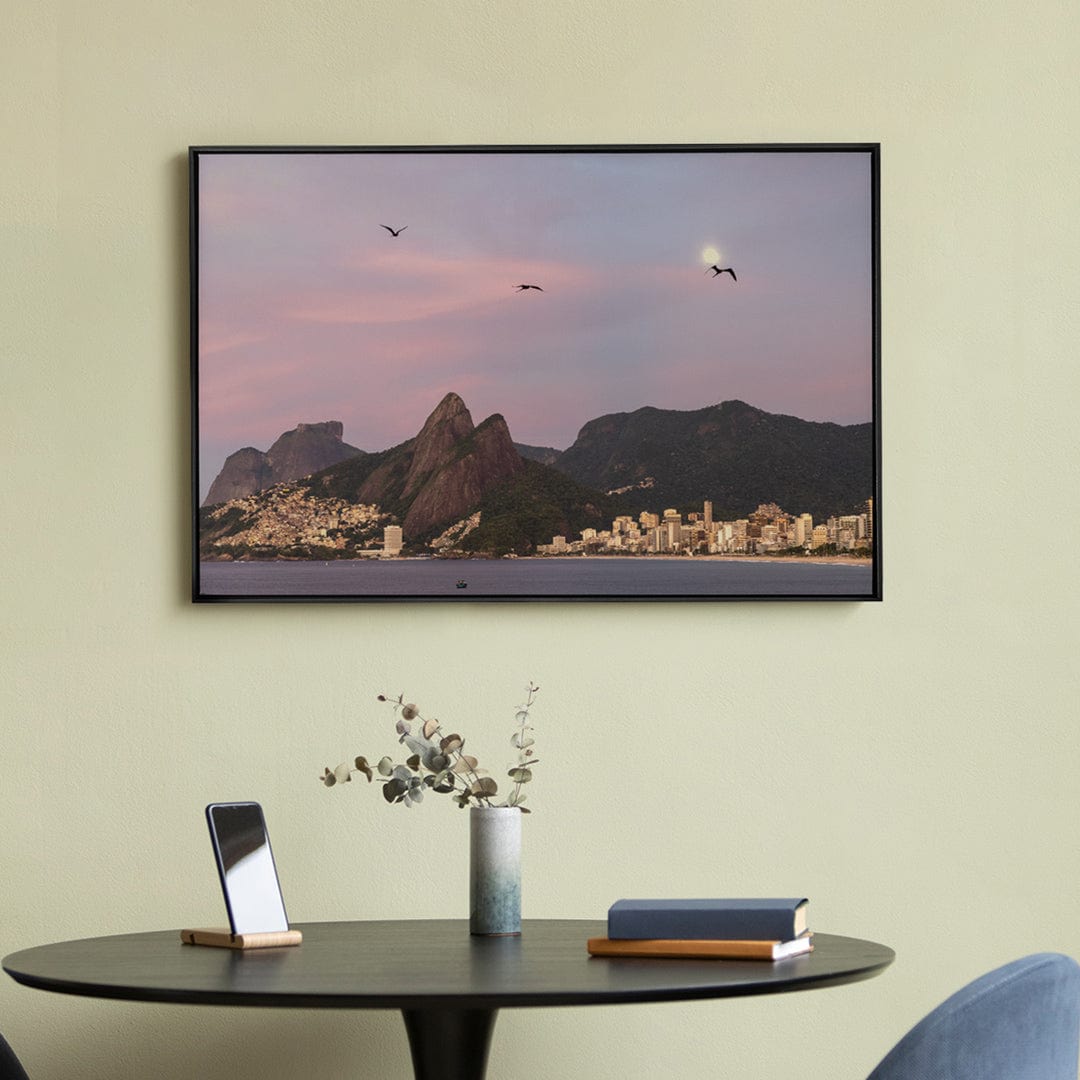 Quadro Decorativo Gaivotas | Roberto Cosseff - Meu Rodapé