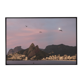 Quadro Decorativo Gaivotas | Roberto Cosseff - Meu Rodapé