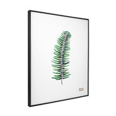 Quadro Decorativo Galho Samambaia | Camila Pasinato - Meu Rodapé