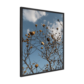 Quadro Decorativo Galhos Secos | Fagner Martins - Meu Rodapé