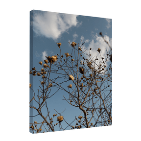 Quadro Decorativo Galhos Secos | Fagner Martins - Meu Rodapé