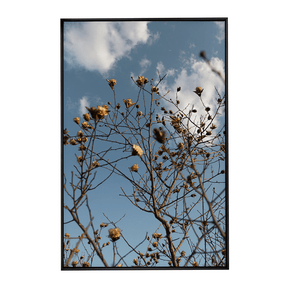 Quadro Decorativo Galhos Secos | Fagner Martins - Meu Rodapé