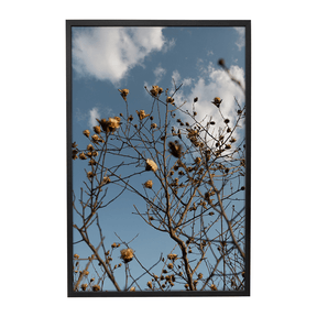 Quadro Decorativo Galhos Secos | Fagner Martins - Meu Rodapé