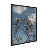 Quadro Decorativo Galhos Secos | Fagner Martins - Meu Rodapé