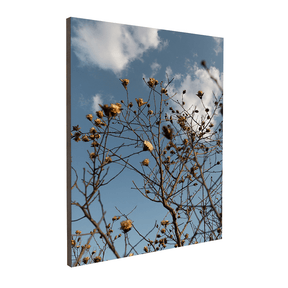 Quadro Decorativo Galhos Secos | Fagner Martins - Meu Rodapé
