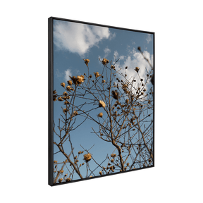 Quadro Decorativo Galhos Secos | Fagner Martins - Meu Rodapé