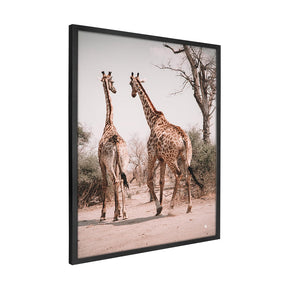 Quadro Decorativo Girafas África | Patricia Schussel Gomes - Meu Rodapé