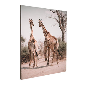Quadro Decorativo Girafas África | Patricia Schussel Gomes - Meu Rodapé