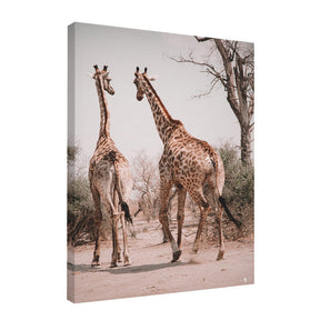 Quadro Decorativo Girafas África | Patricia Schussel Gomes - Meu Rodapé
