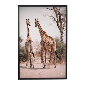 Quadro Decorativo Girafas África | Patricia Schussel Gomes - Meu Rodapé