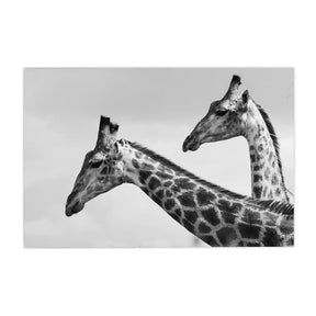 Quadro Decorativo Girafas | Sâmia Munaretti & Marcelo Baldin - Meu Rodapé