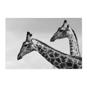 Quadro Decorativo Girafas | Sâmia Munaretti & Marcelo Baldin - Meu Rodapé