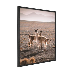 Quadro Decorativo Guanaco Atacama | Patricia Schussel Gomes - Meu Rodapé