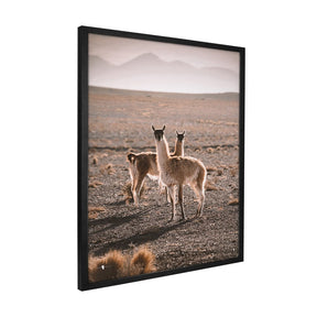 Quadro Decorativo Guanaco Atacama | Patricia Schussel Gomes - Meu Rodapé
