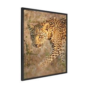 Quadro Decorativo Leopardo | Sâmia Munaretti & Marcelo Baldin - Meu Rodapé