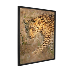 Quadro Decorativo Leopardo | Sâmia Munaretti & Marcelo Baldin - Meu Rodapé