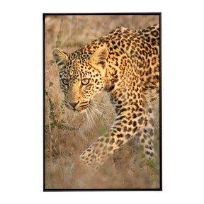 Quadro Decorativo Leopardo | Sâmia Munaretti & Marcelo Baldin - Meu Rodapé