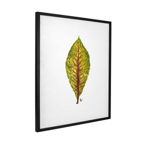 Quadro Decorativo Néspera Nova | Ana Carolina Vivian - Meu Rodapé