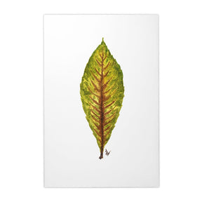 Quadro Decorativo Néspera Nova | Ana Carolina Vivian - Meu Rodapé