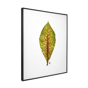 Quadro Decorativo Néspera Nova | Ana Carolina Vivian - Meu Rodapé