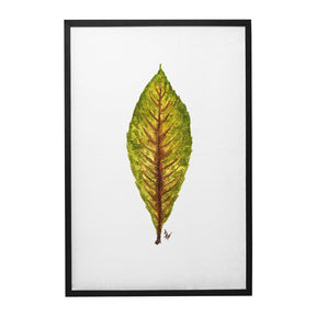 Quadro Decorativo Néspera Nova | Ana Carolina Vivian - Meu Rodapé