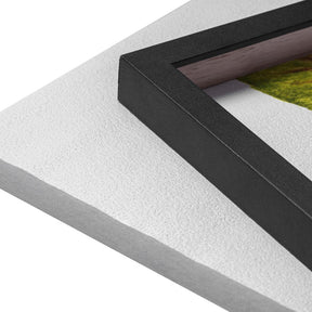 Quadro Decorativo Néspera Nova | Ana Carolina Vivian - Meu Rodapé