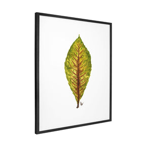 Quadro Decorativo Néspera Nova | Ana Carolina Vivian - Meu Rodapé