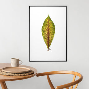 Quadro Decorativo Néspera Nova | Ana Carolina Vivian - Meu Rodapé