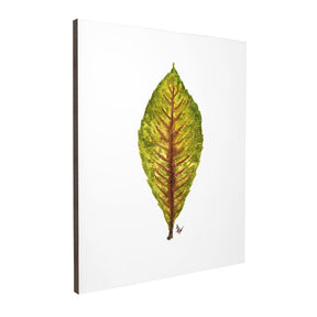 Quadro Decorativo Néspera Nova | Ana Carolina Vivian - Meu Rodapé