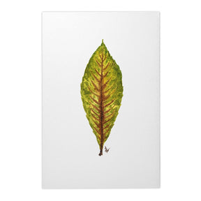 Quadro Decorativo Néspera Nova | Ana Carolina Vivian - Meu Rodapé