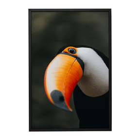 Quadro Decorativo O Desconfiado Tucano | Rodolfo Paz - Meu Rodapé