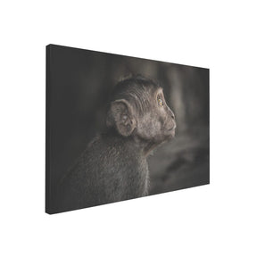 Quadro Decorativo Observador | Julio Bazanella - Meu Rodapé