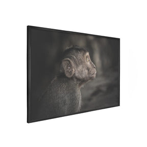 Quadro Decorativo Observador | Julio Bazanella - Meu Rodapé