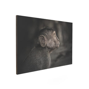 Quadro Decorativo Observador | Julio Bazanella - Meu Rodapé