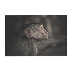 Quadro Decorativo Observador | Julio Bazanella - Meu Rodapé