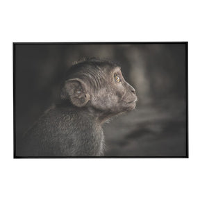 Quadro Decorativo Observador | Julio Bazanella - Meu Rodapé