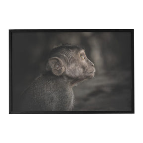 Quadro Decorativo Observador | Julio Bazanella - Meu Rodapé