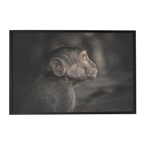 Quadro Decorativo Observador | Julio Bazanella - Meu Rodapé