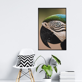 Quadro Decorativo Olhar do Brasil | Rodolfo Paz - Meu Rodapé